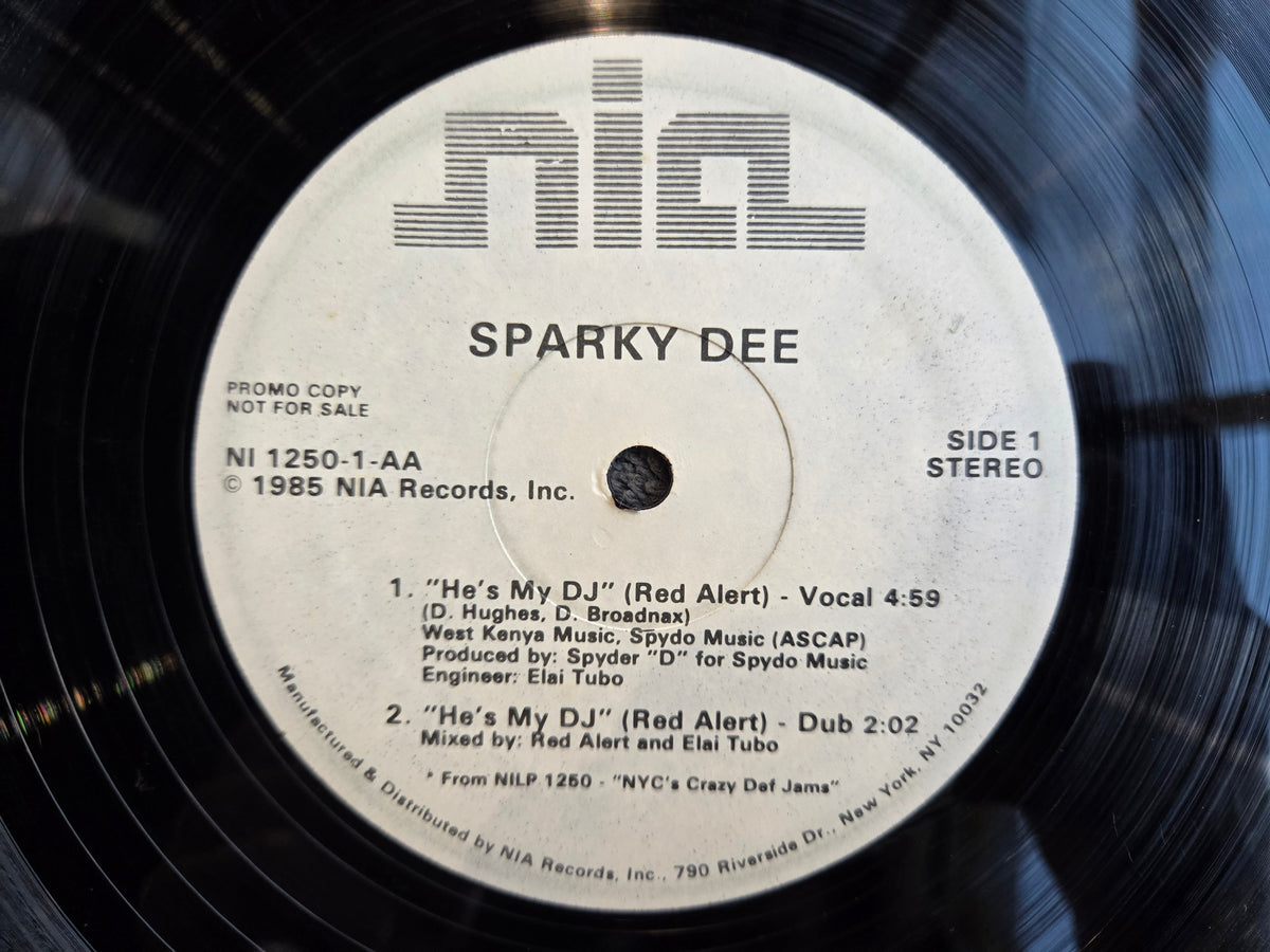 SPARKY DEE HES MY DJ WLP 12"