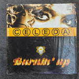 CELEDA BURNIN UP BEL IMP 12"