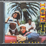ICE T RHYME PAYS CD