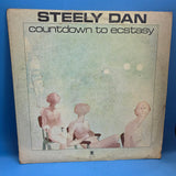 STEELY DAN COUNTDOWN TO ECSTASY 1973 INSERT