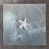 CHURCH STARFISH