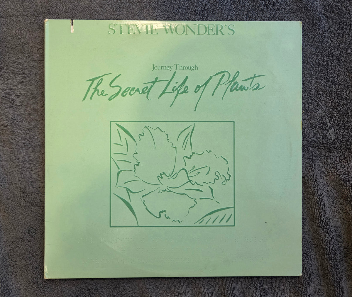 STEVIE WONDER THE SECRET LIFE OF PLANTS