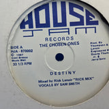 CHOSEN ONES DESTINY 12"