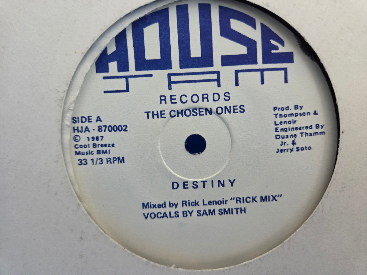 CHOSEN ONES DESTINY 12"