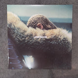 BEYONCE LEMONADE