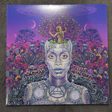 ERYKAH BADU NEW AMERYKAH PART TWO RETURN AT THE ANKH