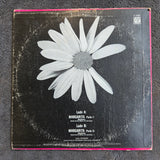 MASSARA MARGHERITA FRA IMP 12"