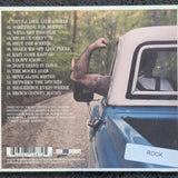 THE REVEREND PEYTON'S BIG DAMN BAND BETWEEN THE DITCHES CD
