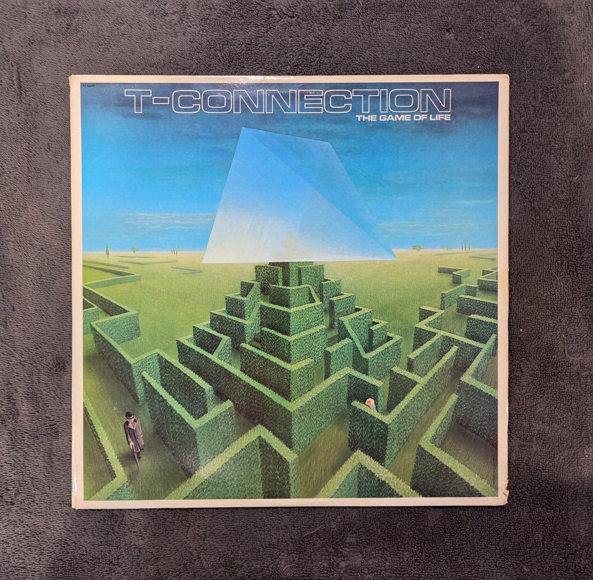 T-CONNECTION THE GAME OF LIFE