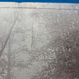 TAYLOR SWIFT FOLKLORE DELUXE BROWN IN THE TREES NEW