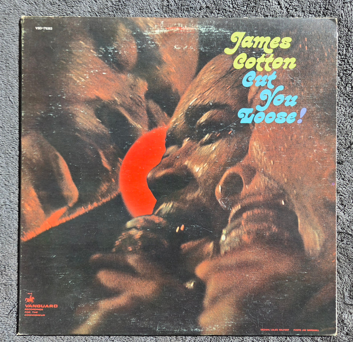 JAMES COTTON CUT YOU LOOSE