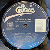 SHABBA RANKS HOUSECALL 12"
