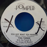 TINA TURNER YOU GOT WHAT YOU WANTED WLP 7"