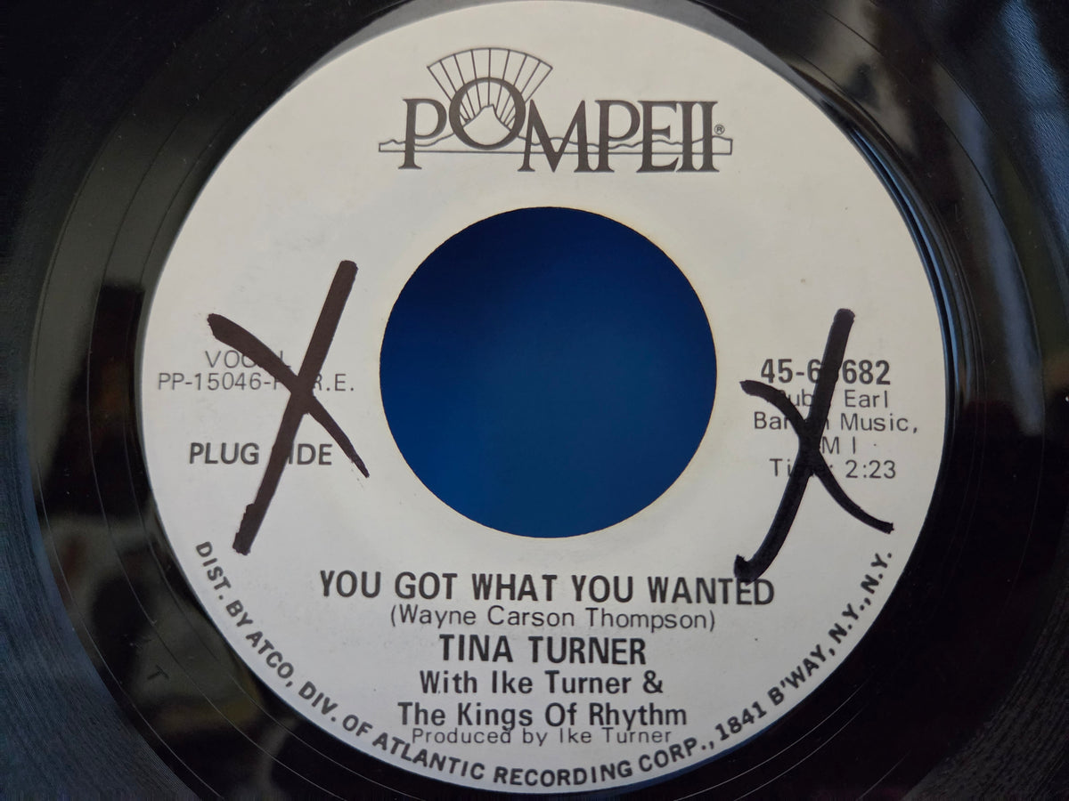 TINA TURNER YOU GOT WHAT YOU WANTED WLP 7"