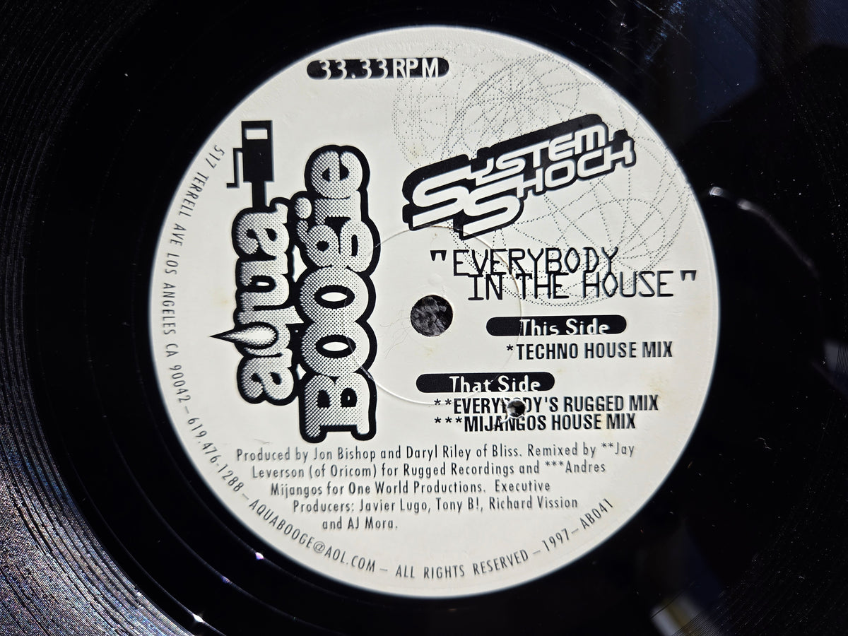 SYSTEM SHOCK EVERYBODY IN THE HOUSE 12"