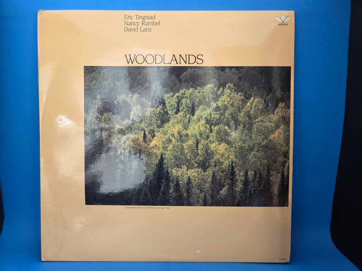 ERIC TINGSTAD NANCY RUMBEL DAVID LANZ WOODLANDS PROMO