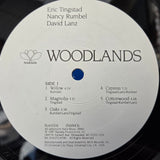 ERIC TINGSTAD NANCY RUMBEL DAVID LANZ WOODLANDS PROMO