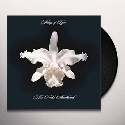 Kings of Leon – Aha Shake Heartbreak