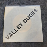 STRAIGHT A'S VALLEY DUDES PICTURE SLEEVE SCR-101551