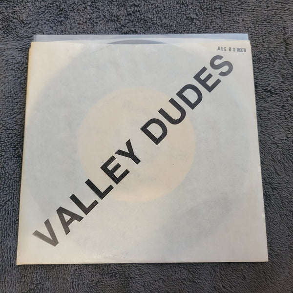 STRAIGHT A'S VALLEY DUDES PICTURE SLEEVE SCR-101551