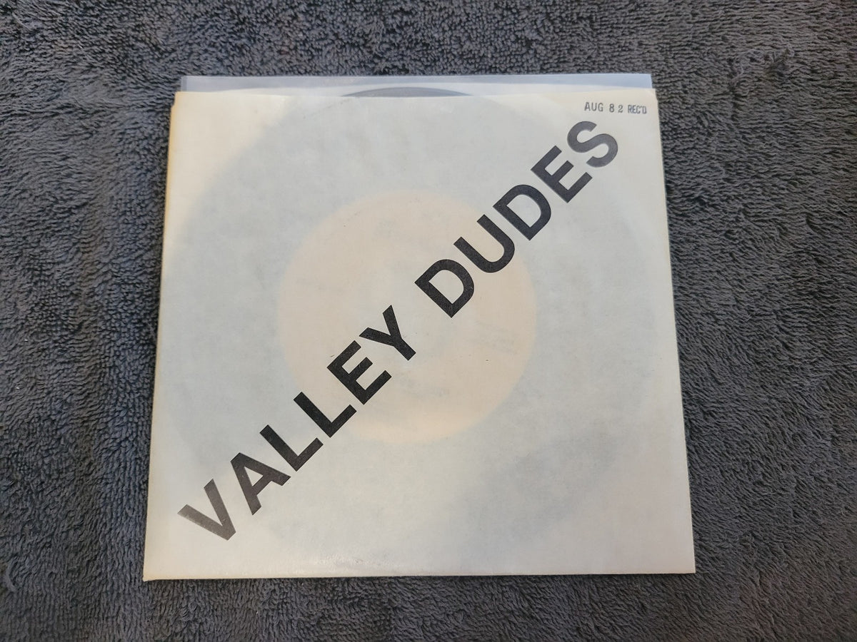 STRAIGHT A'S VALLEY DUDES PICTURE SLEEVE SCR-101551