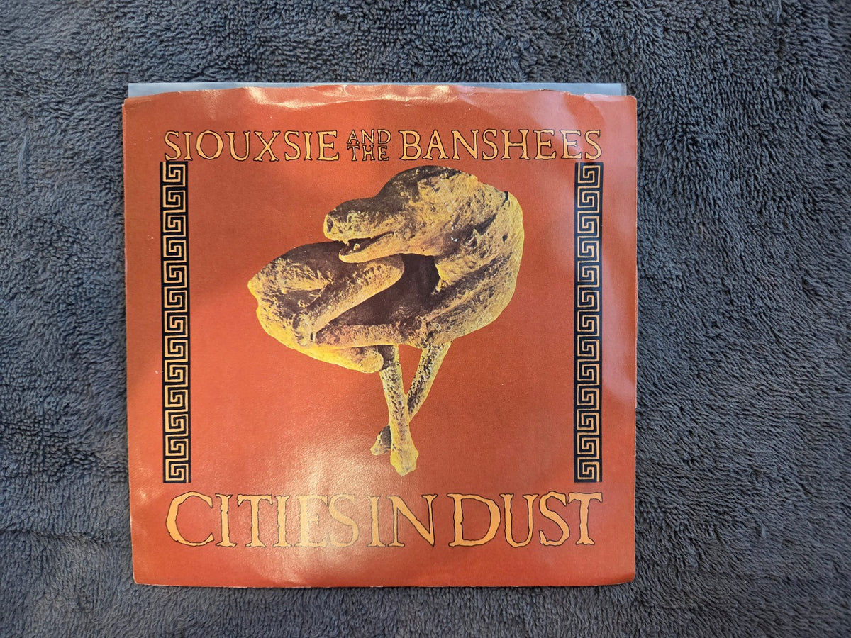 SIOUXSIE AND THE BANSHEES CITIES IN DUST PICTURE SLEEVE PROMO GEFFEN 7-28813
