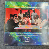 PUBLIC ENEMY FEAR OF A BLACK PLANET