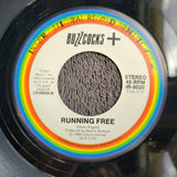 BUZZCOCKS RUNNING FREE WHAT DO YOU KNOW PS PICTURE SLEEVE