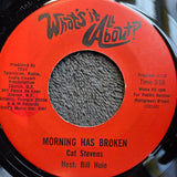 ROLLING STONES TUMBLING DICE CAT STEVENS MORNING HAS BROKEN WHAT'S IT ALL ABOUT