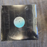 SHEVY THE GRIND NEW SEALED SHEVY61