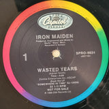 IRON MAIDEN WASTED YEARS PROMO