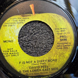 DAVID PEEL & THE LOWER EAST SIDE F IS NOT A DIRTY WORD MONO PROMO APPLE PRO 6498