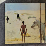 SHADES OF JOY THE MUSIC OF EL TOPO ALEJANDRO JODOROWSKY