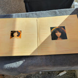 KATE BUSH LIONHEART IMPORT FRANCE