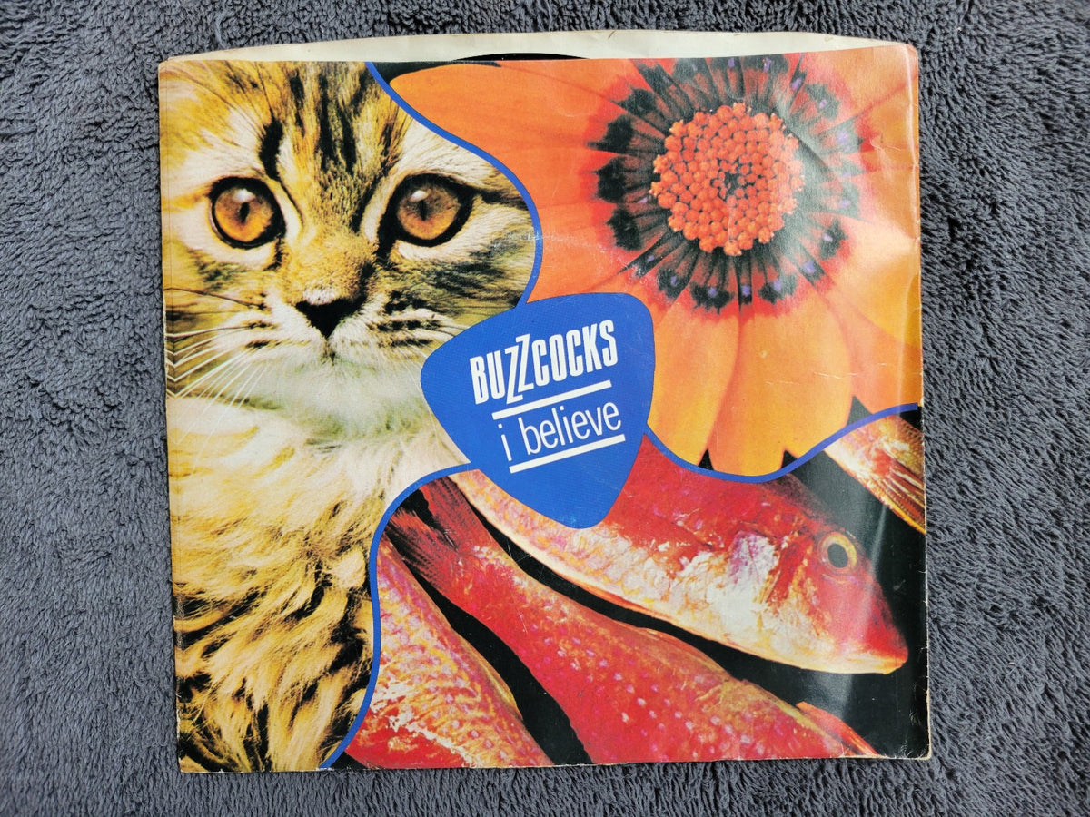 BUZZCOCKS I BELIEVE SOMETHING'S GONE WRONG AGAIN PS PICTURE SLEEVE