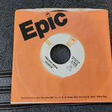 GASOLIN' GASOLINE  TWILIGHT BIRDS WHITE LABEL PROMO WLP EPIC 8-50302 MONO