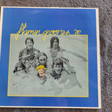 FLAMIN GROOVIES 70 FRENCH IMPORT FRANCE EVA
