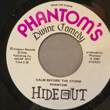 PHANTOM CALM BEFORE THE STORM HIDEOUT MONO PICTURE SLEEVE H 1080