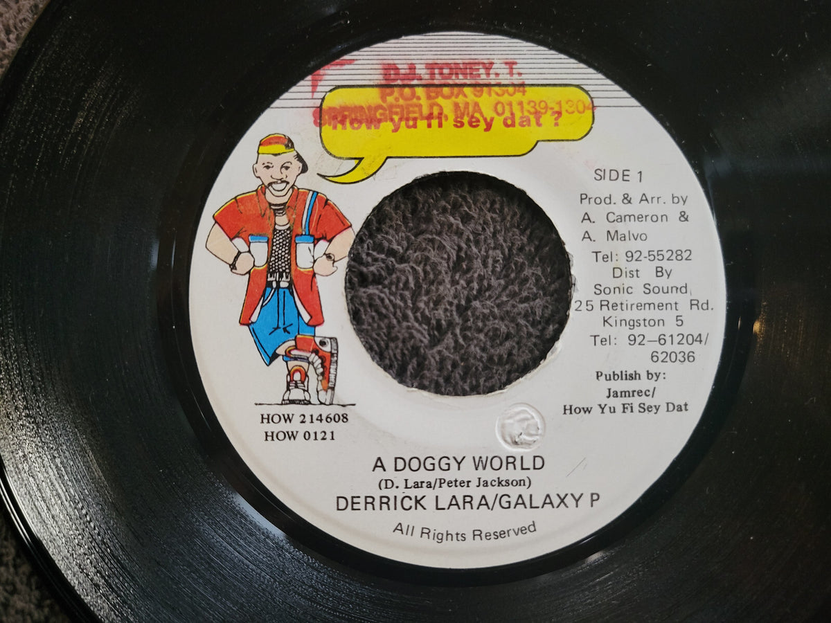DERRICK LARA GALAXY P A DOGGY WORLD JAMAICA IMPORT HOW YU FI SEY DAT?