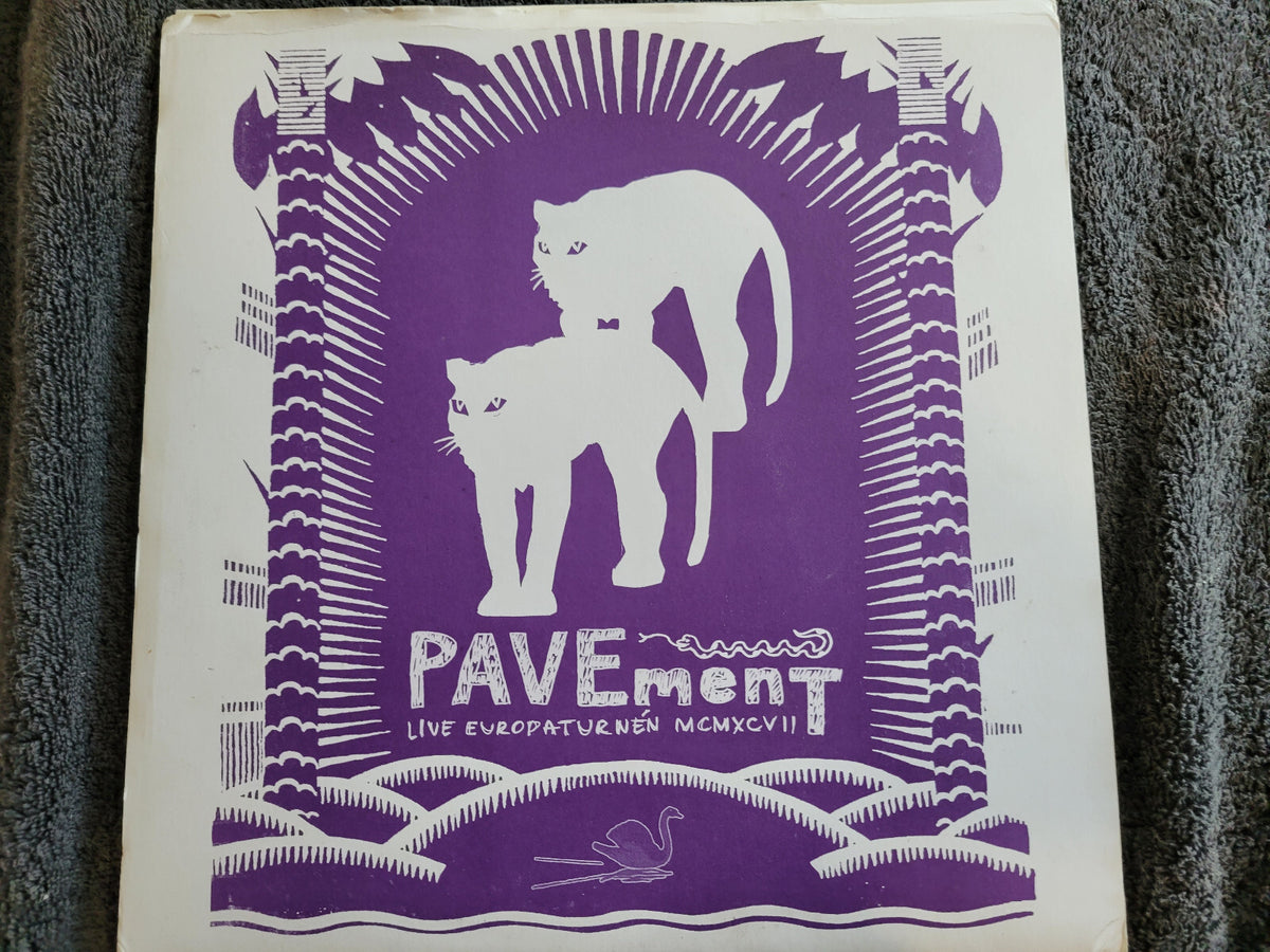 PAVEMENT LIVE EUROPATURNEN MCMXCIII STEPHEN MALKMUS