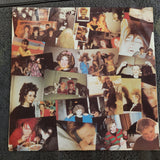 FUZZBOX WEVE GOT A FUZZBOX AND WERE GONNA USE IT