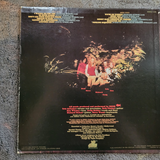 HONK SELF TITLED S/T W/ INSERT SELF TITLED