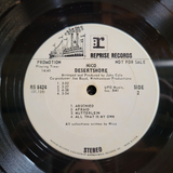 NICO DESERTSHORE DESERT SHORE WLP WHITE LABEL PROMO VELVET UNDERGROUND