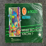 BUZZCOCKS RUNNING FREE WHAT DO YOU KNOW PS PICTURE SLEEVE