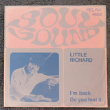 LITTLE RICHARD I'M BACK DO YOU FEEL IT PS PICTURE SLEEVE IMPORT