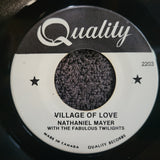 NATHANIEL MAYER VILLAGE OF LOVE OH MOTHER MINE TEMPTATIONS FABULOUS TWIGHLIGHTS