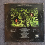 ROLLING STONES AFTERMATH REMASTER EU IMPORT