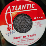 LIVING EXAMPLE OUTSIDE MY WINDOW LEAVING ON A JET PLANE WHITE LABEL PROMO