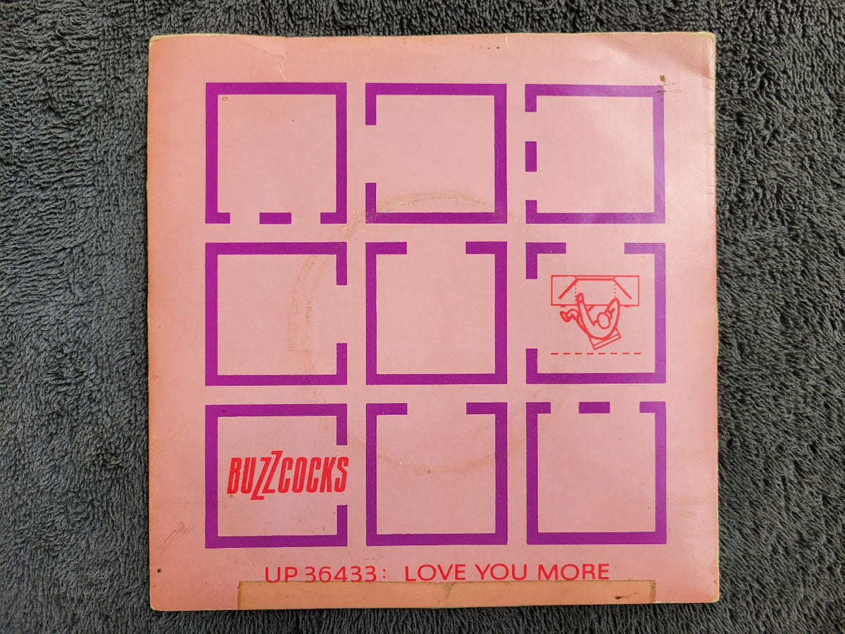 BUZZCOCKS LOVE YOU MORE NOISE ANNOYS UK IMPORT PS PICTURE SLEEVE
