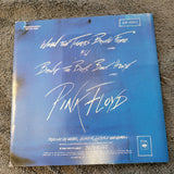 PINK FLOYD THE WALL MUSIC FROM FILM WHITE LABEL PROMO WHEN THE TIGERS BROKE FREE